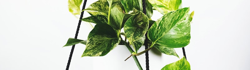 西甲足球比赛回放封面图 - 西班牙国家德比皇马对阵巴萨